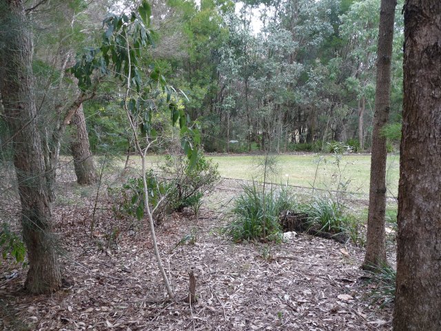 Bushland & Reserve opposite Auntie Janny Ely home, Green Valley